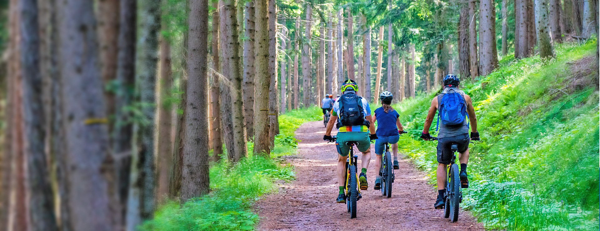 綠意漫步，全家共享的平坦自行車道推薦