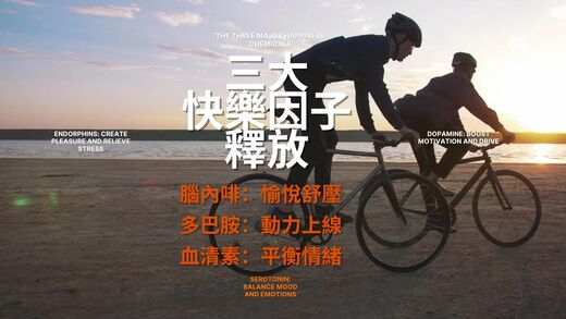 運動與健康,運動進化人生,山海戀單車,身心平衡,快樂腦科學,身心健康,情緒平衡,BikeTour,HealthAndFitness,ExerciseForLife,BikeTour,HealthAndFitness,MindBodyBalance,HappinessNeuroscience,PhysicalAndMentalHealth,EmotionalBalance