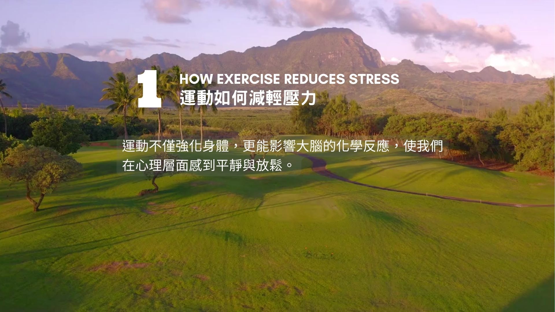 運動與健康,運動進化人生,從大腦到身心的蛻變,運動與壓力管理,山海戀單車,山海戀推薦,HealthAndFitness,BikeExplorer,RelieveStressThroughExercise