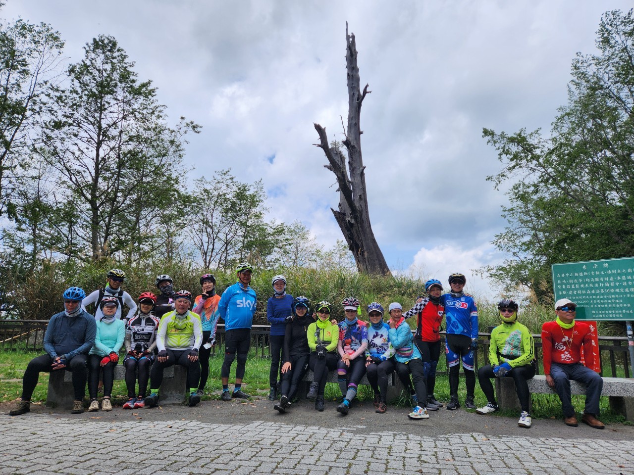 南投,信義鄉,神木,塔塔加,夫妻樹,紅檜,台灣知名神木,山海戀單車