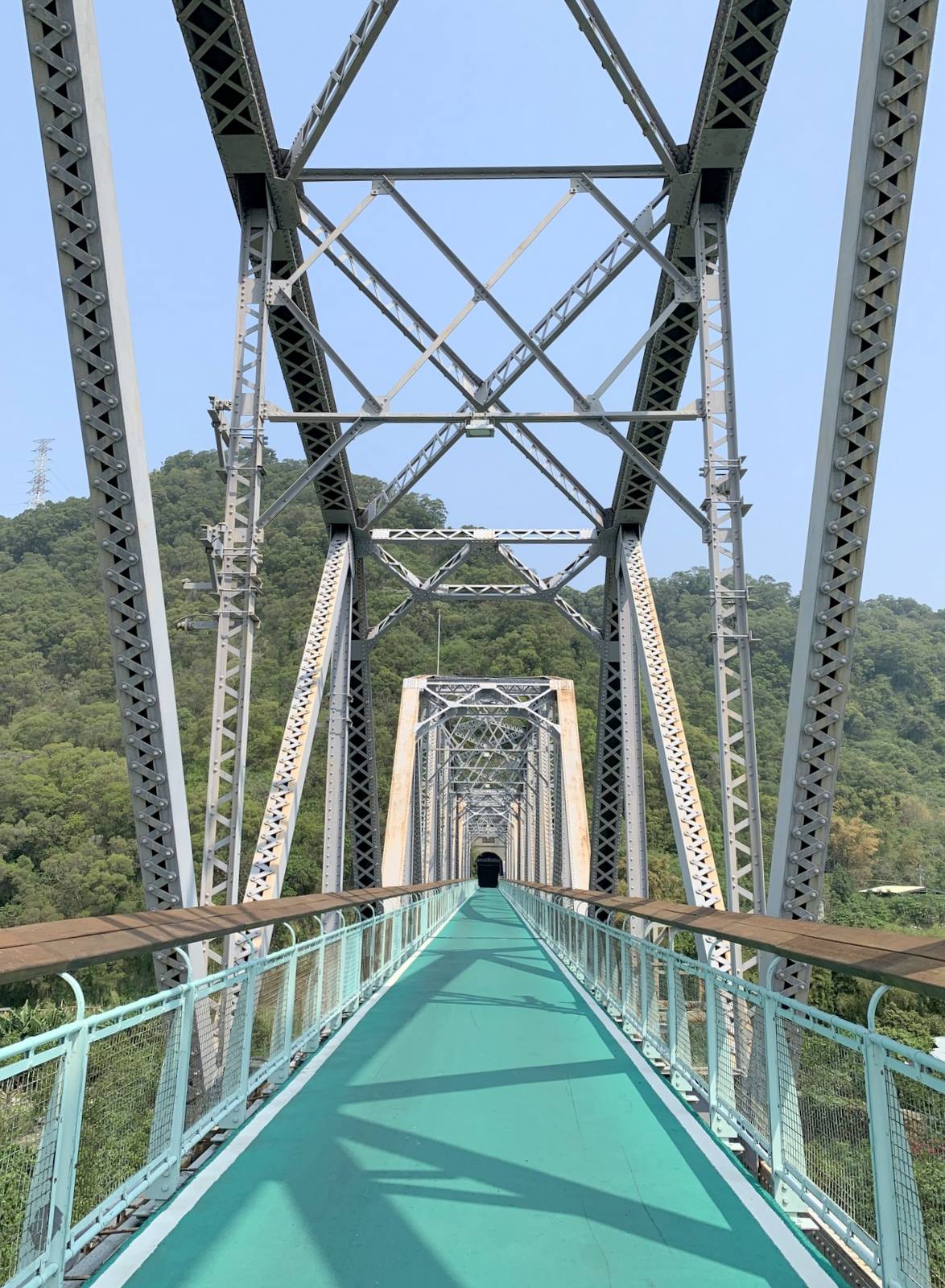 台中,后里,大甲溪,花樑鋼橋,橋樑,山海戀單車