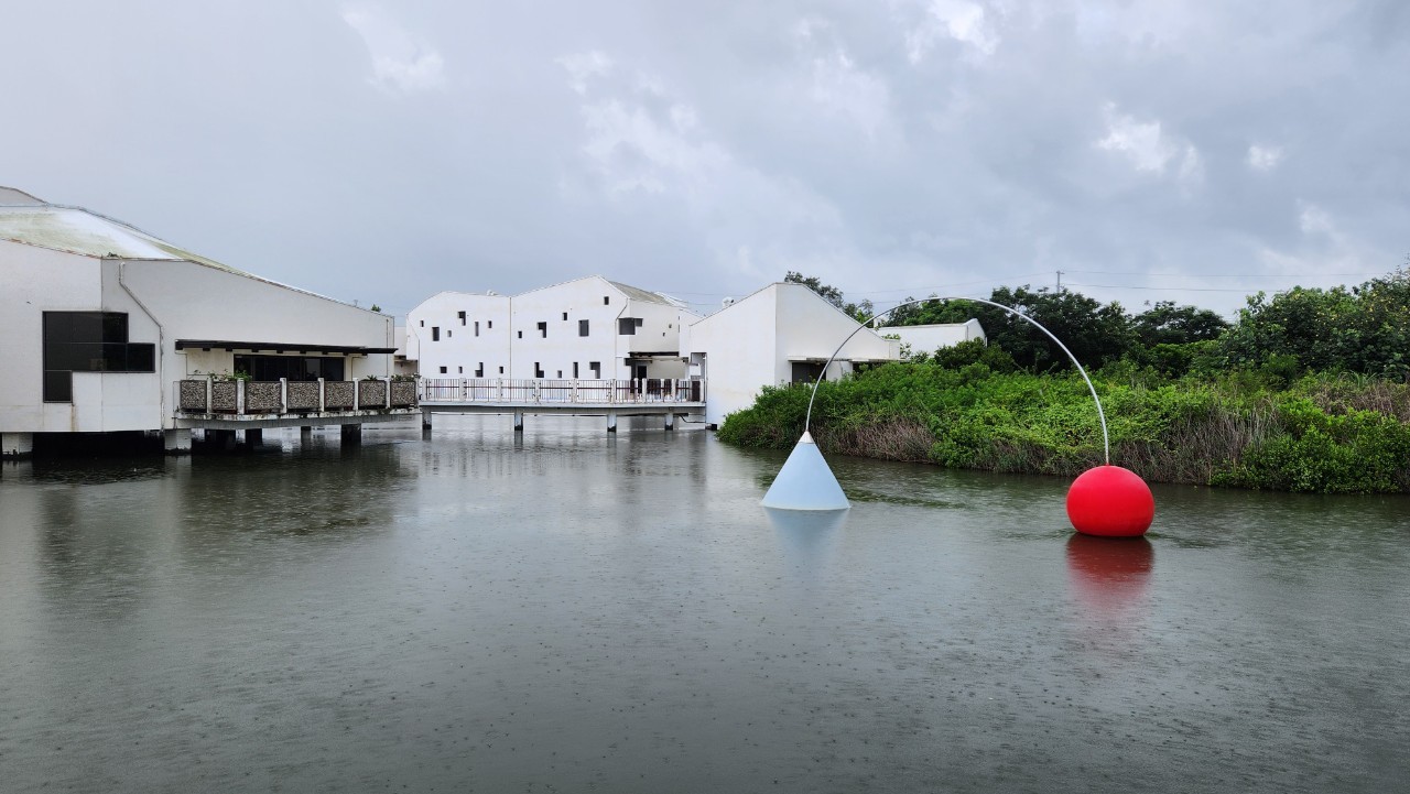 台南,安南,台江國家公園,溼地,自然生態,山海戀單車