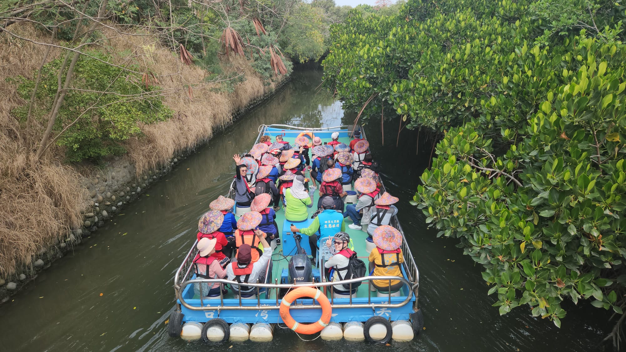 台南,四草溼地,台江國家公園,綠色隧道,溼地,山海戀單車