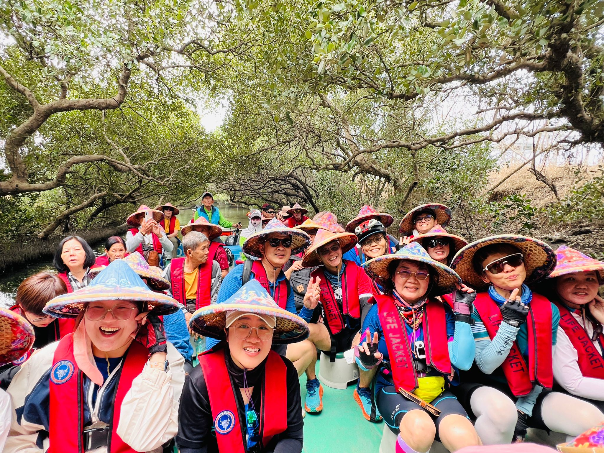 台南,四草溼地,台江國家公園,綠色隧道,溼地,山海戀單車