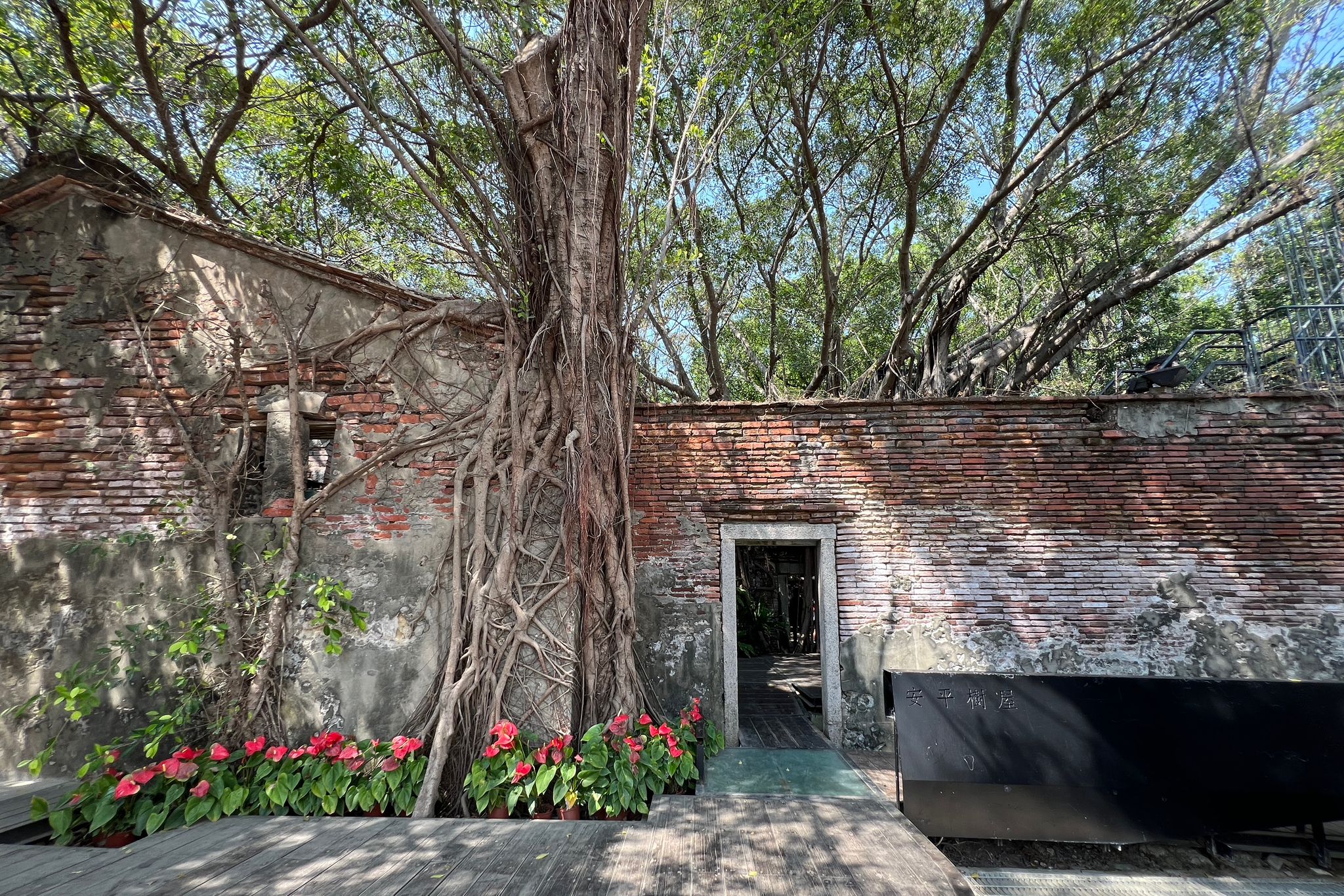 台南,安平,安平樹屋,德記洋行,自然生態,山海戀單車