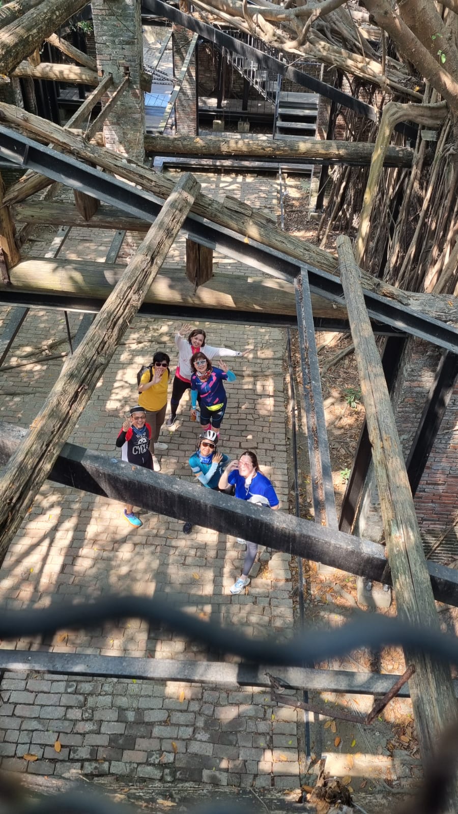 台南,安平,安平樹屋,德記洋行,自然生態,山海戀單車