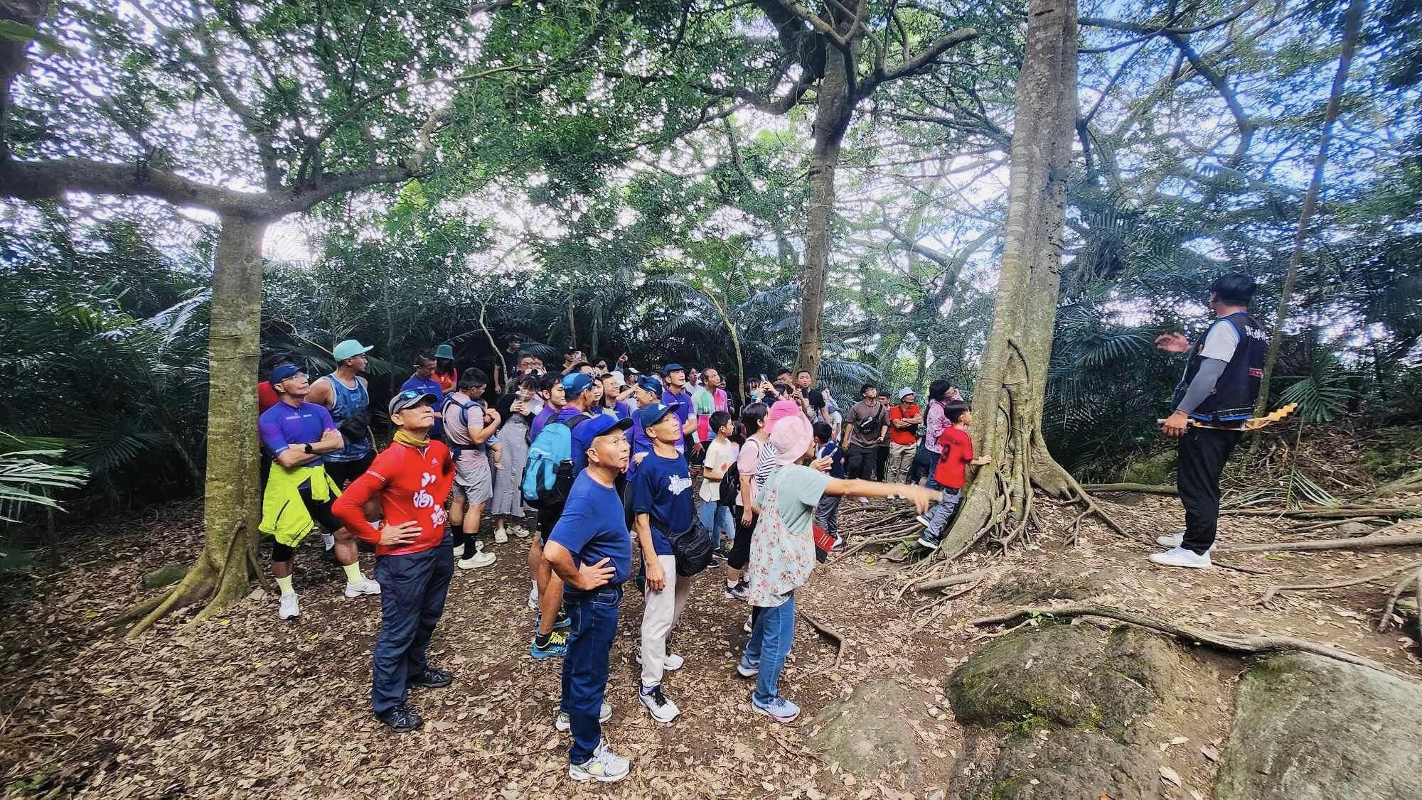 台東,都蘭,鸞山部落,鸞山森林博物館,會走路的樹,原住民,布農族,山海戀單車