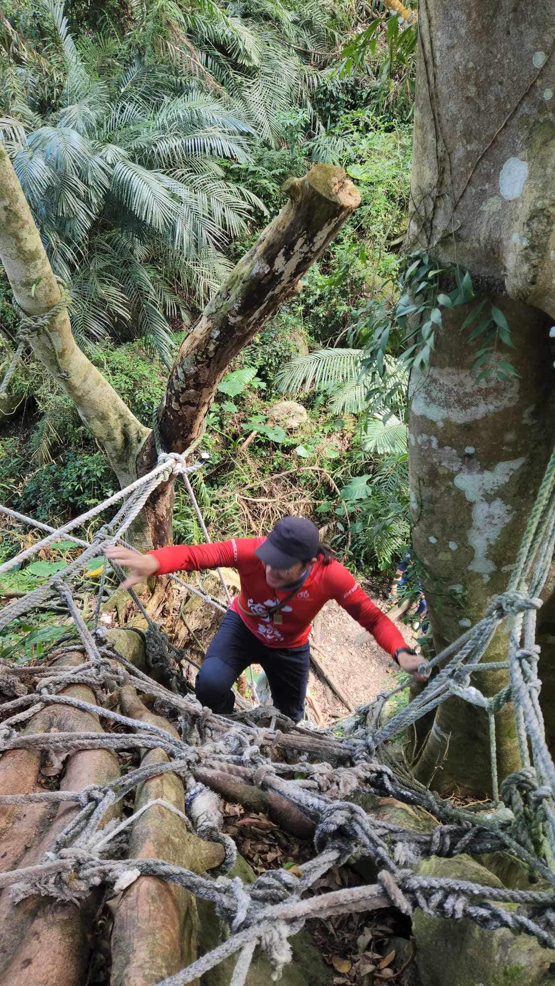 台東,都蘭,鸞山部落,鸞山森林博物館,會走路的樹,原住民,布農族,山海戀單車