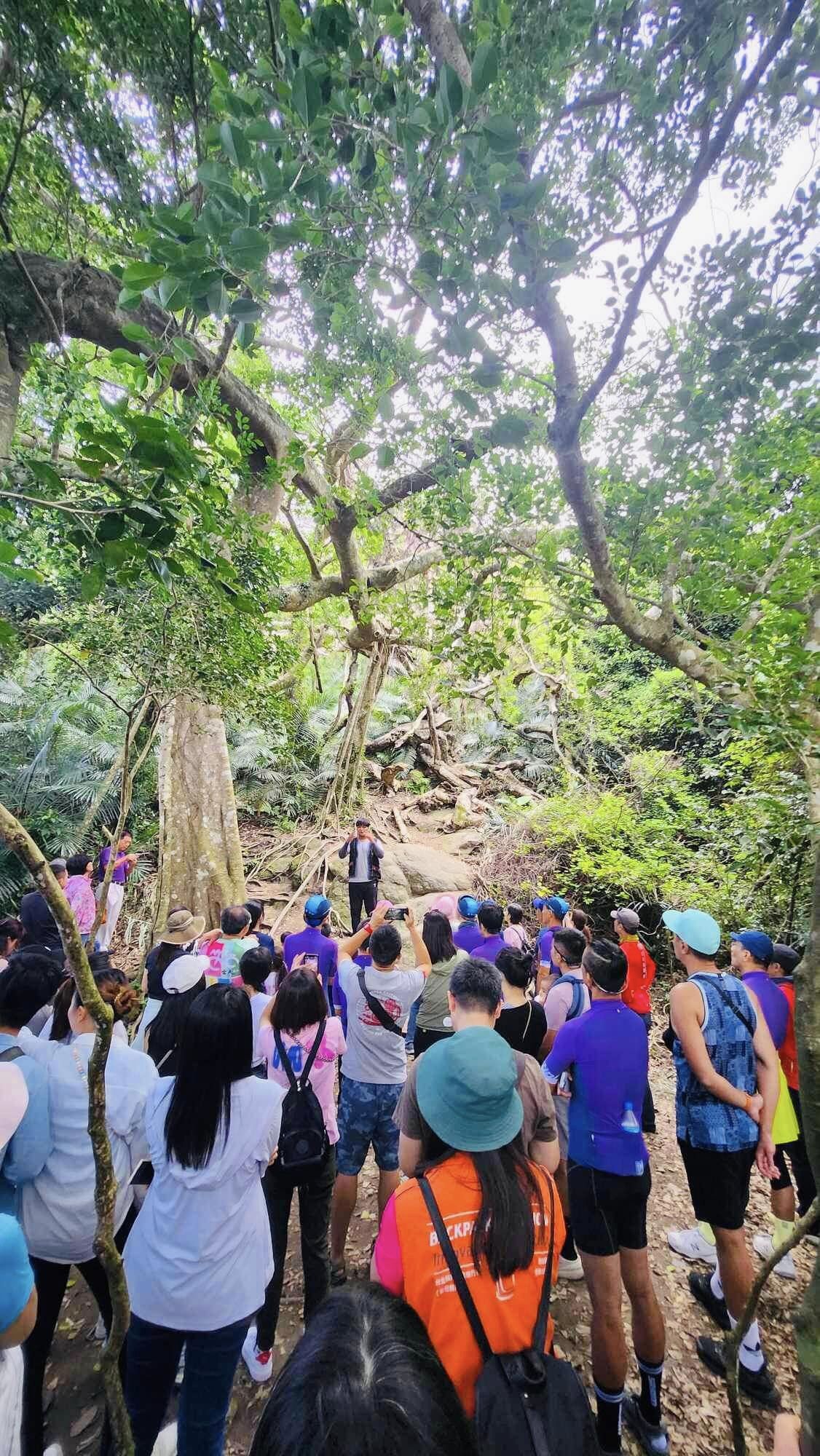 台東,都蘭,鸞山部落,鸞山森林博物館,會走路的樹,原住民,布農族,山海戀單車