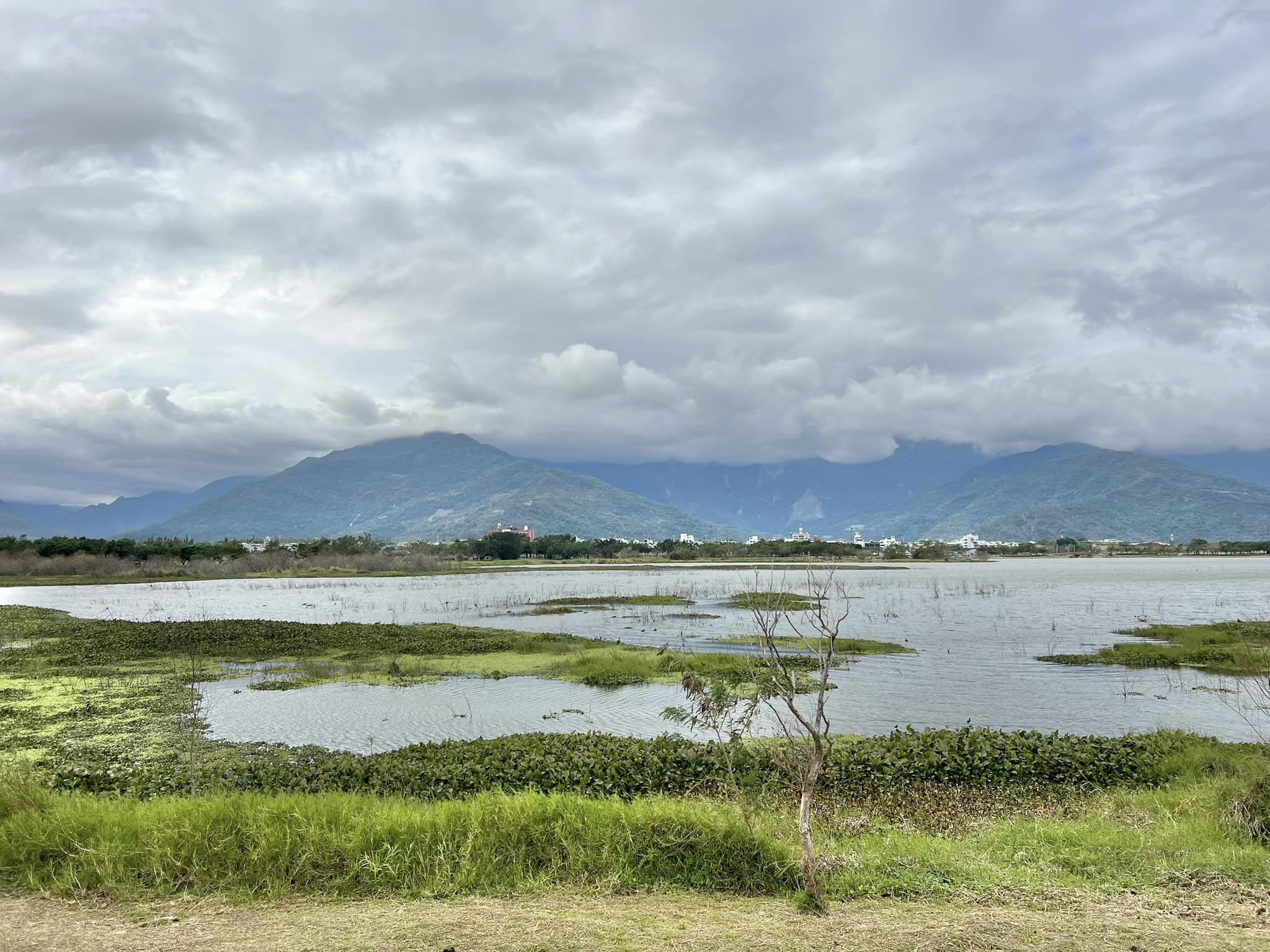 台東,池上,大坡池,台東十景,溼地,山海戀單車