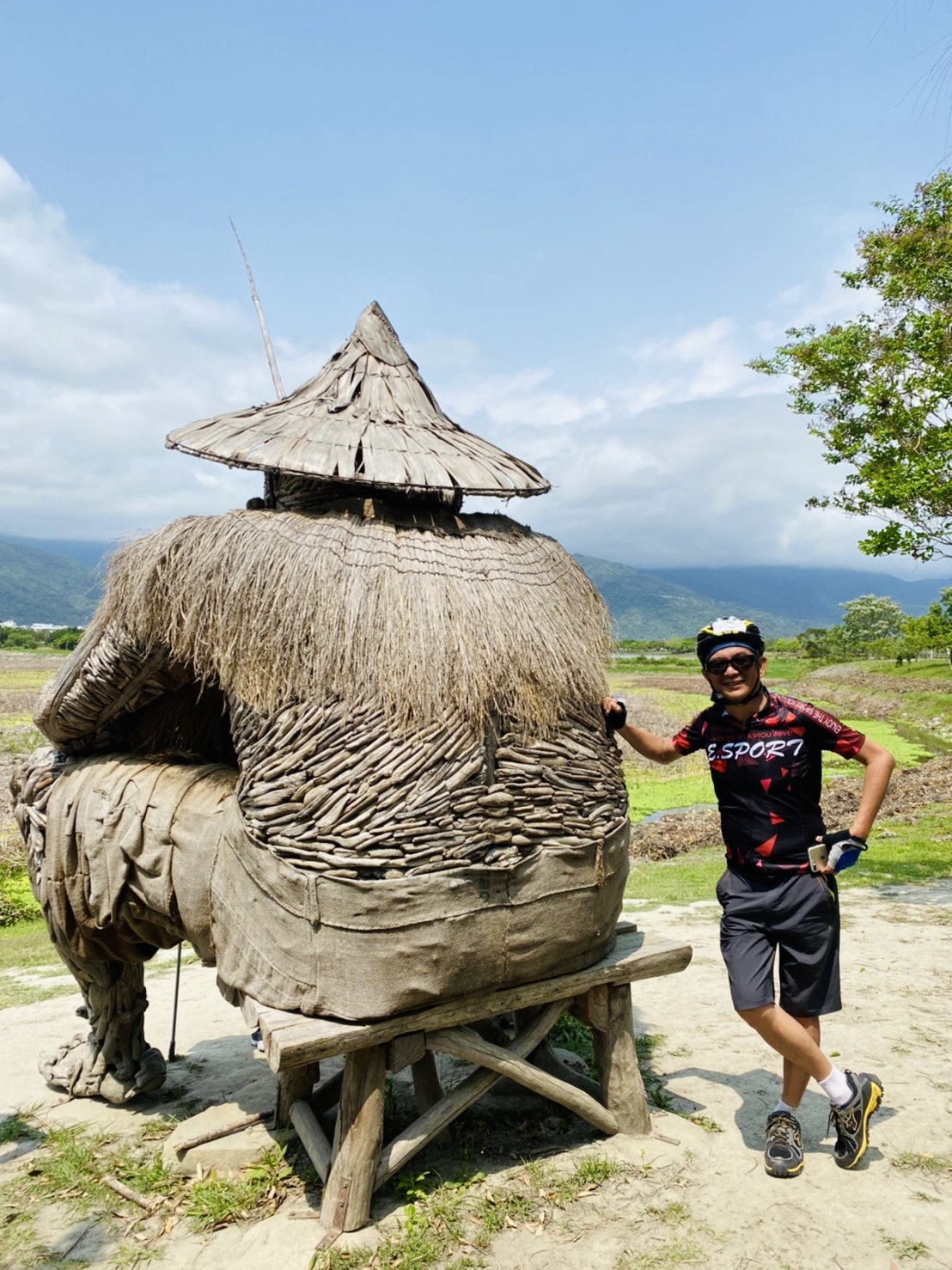 台東,池上,漂鳥197,花東縱谷,藝術,縱谷大地藝術季,山海戀單車