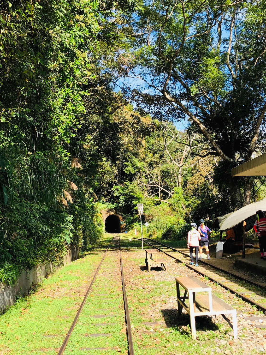 嘉義,阿里山林鐵,梨園寮車站,木造火車站,火車站,鐵道文化,山海戀單車