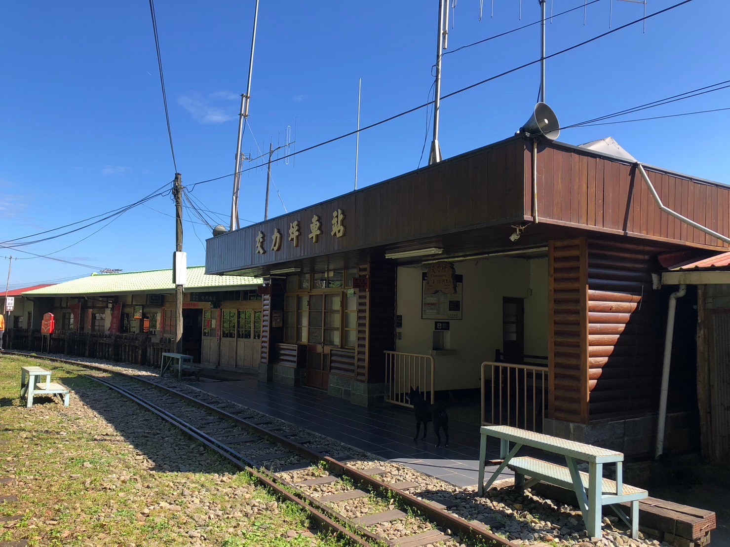 嘉義,阿里山林鐵,交力坪車站,木造火車站,火車站,鐵道文化,山海戀單車