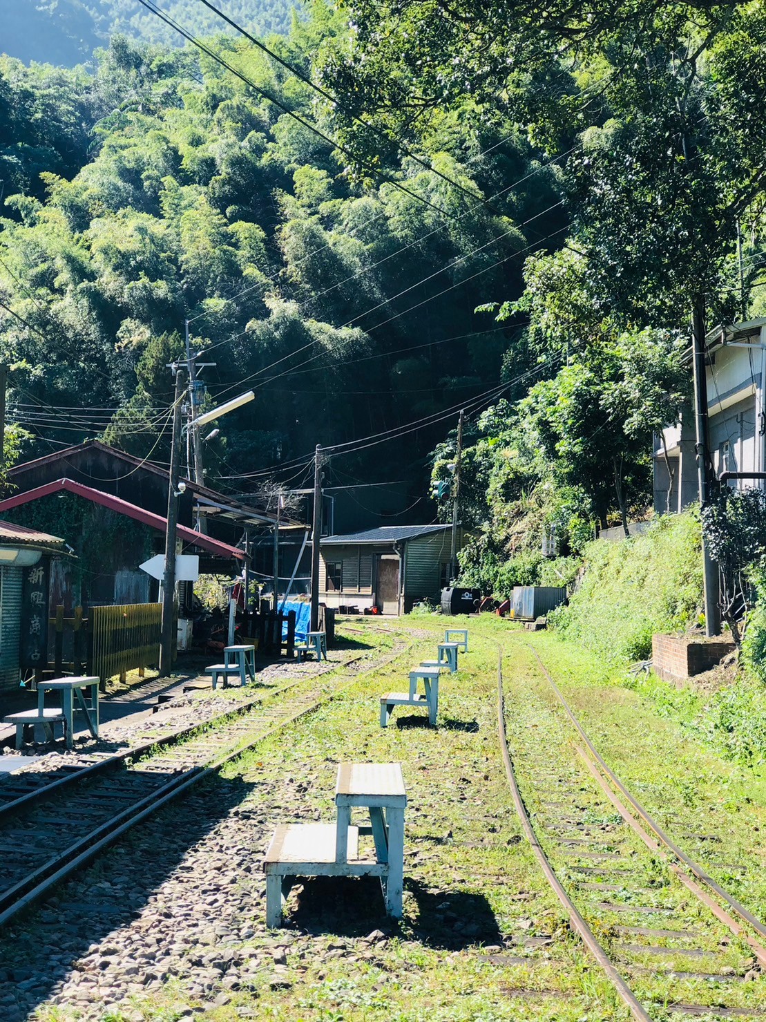 嘉義,阿里山林鐵,交力坪車站,木造火車站,火車站,鐵道文化,山海戀單車