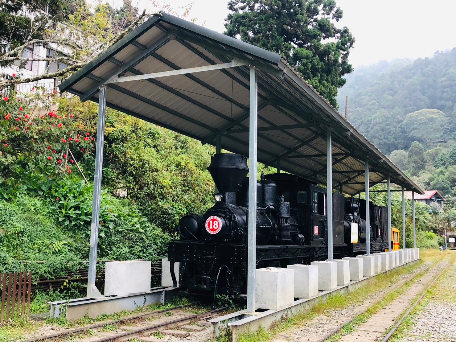 嘉義,阿里山林鐵,奮起湖車站,木造火車站,火車站,鐵道文化,山海戀單車