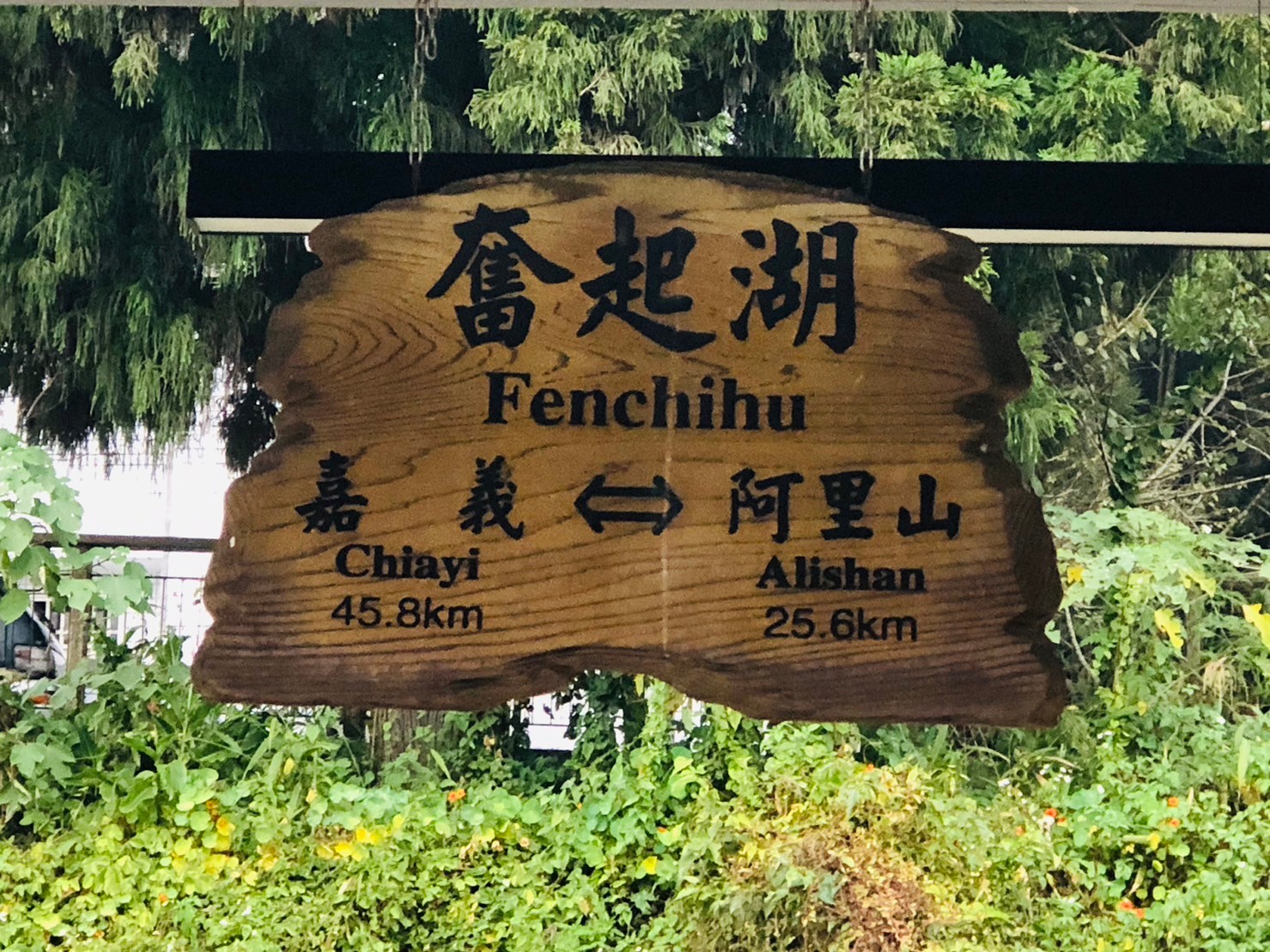 嘉義,阿里山林鐵,奮起湖車站,木造火車站,火車站,鐵道文化,山海戀單車