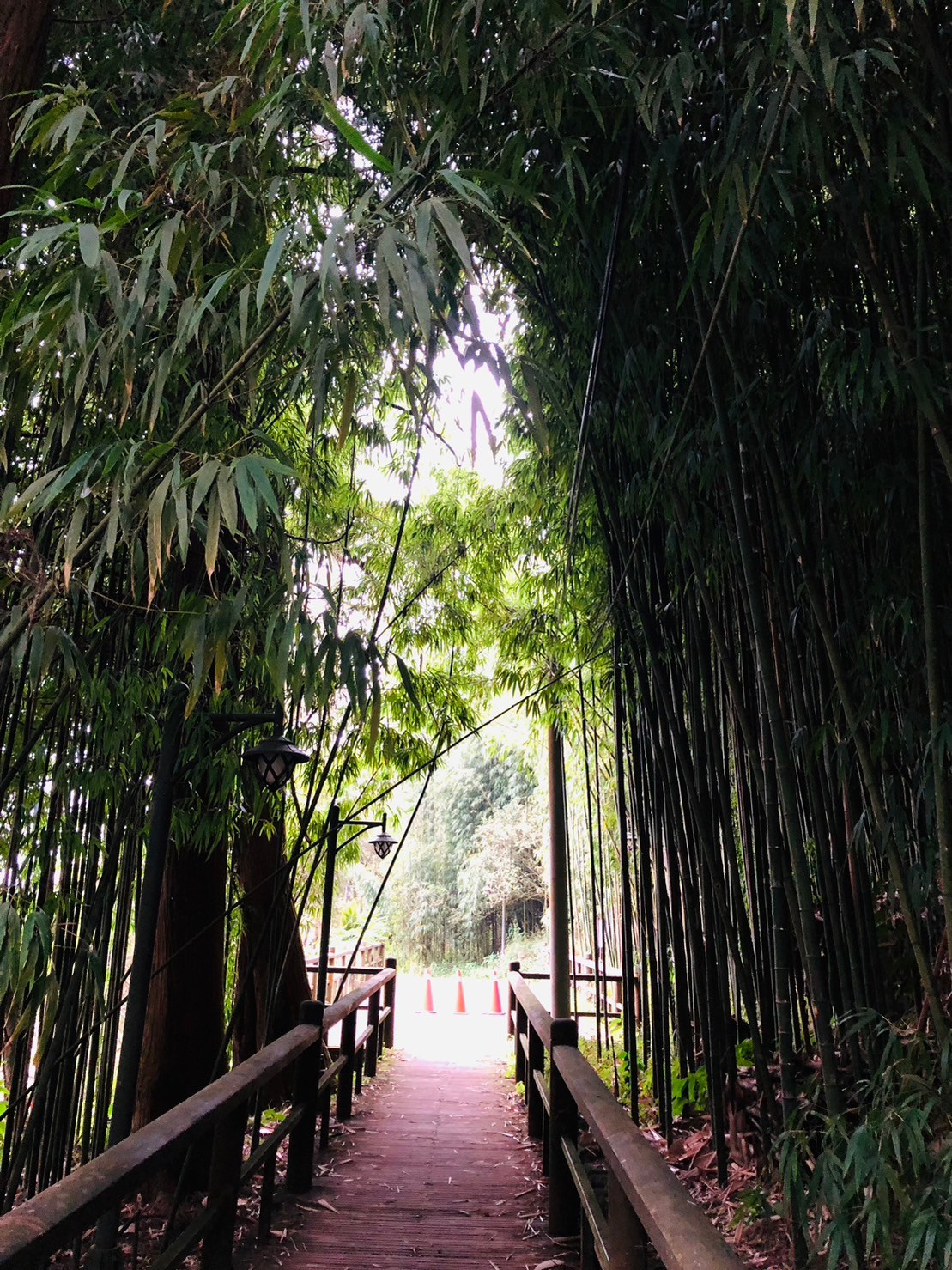 嘉義,阿里山林鐵,奮起湖車站,木造火車站,火車站,鐵道文化,山海戀單車