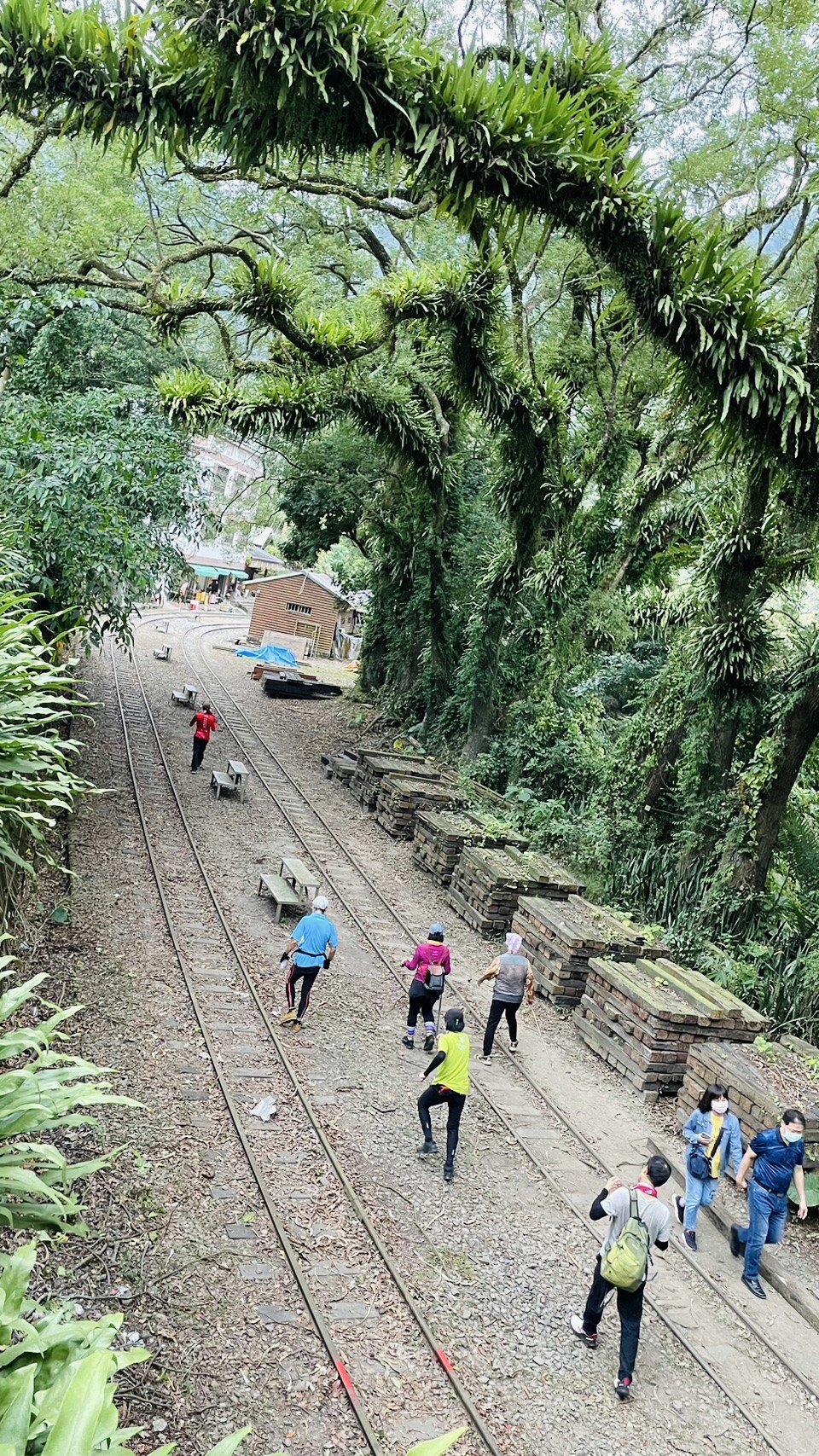 嘉義,阿里山林鐵,樟腦寮車站,木造火車站,火車站,鐵道文化,山海戀單車