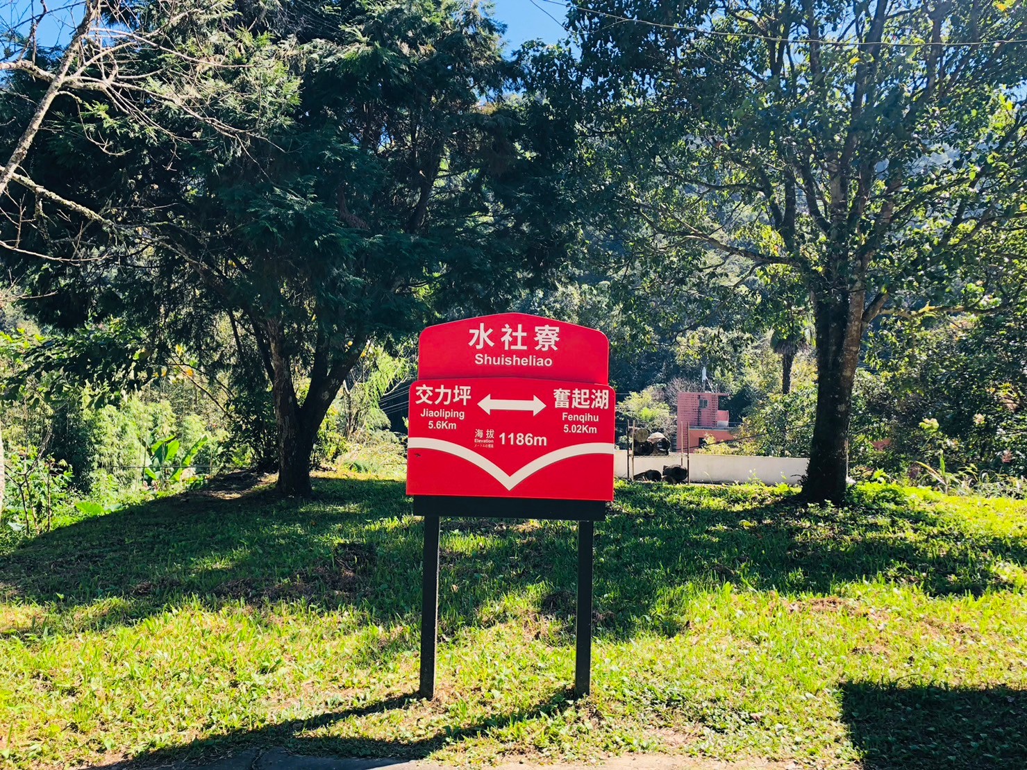 嘉義,阿里山林鐵,水社寮車站,木造火車站,火車站,鐵道文化,山海戀單車