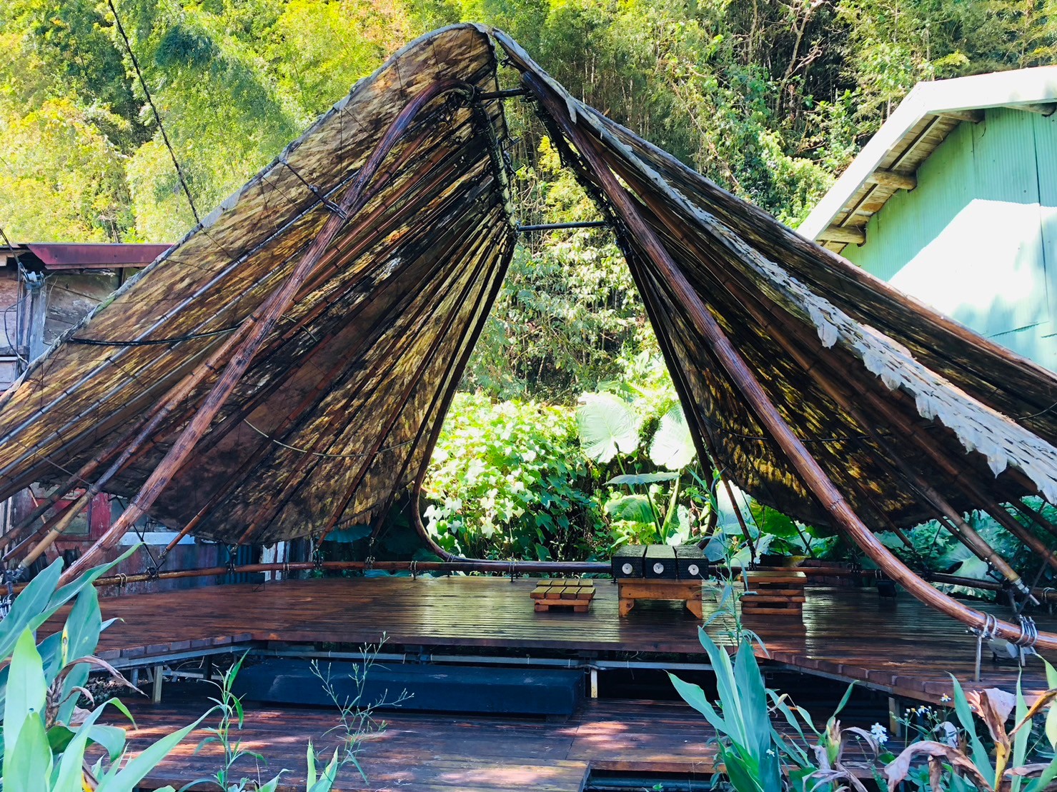 嘉義,阿里山林鐵,水社寮車站,木造火車站,火車站,鐵道文化,山海戀單車