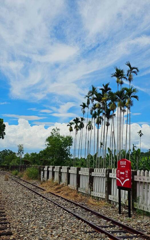 嘉義,阿里山林鐵, 鐵道文化,南台灣,鹿麻產車站,火車站,山海戀單車