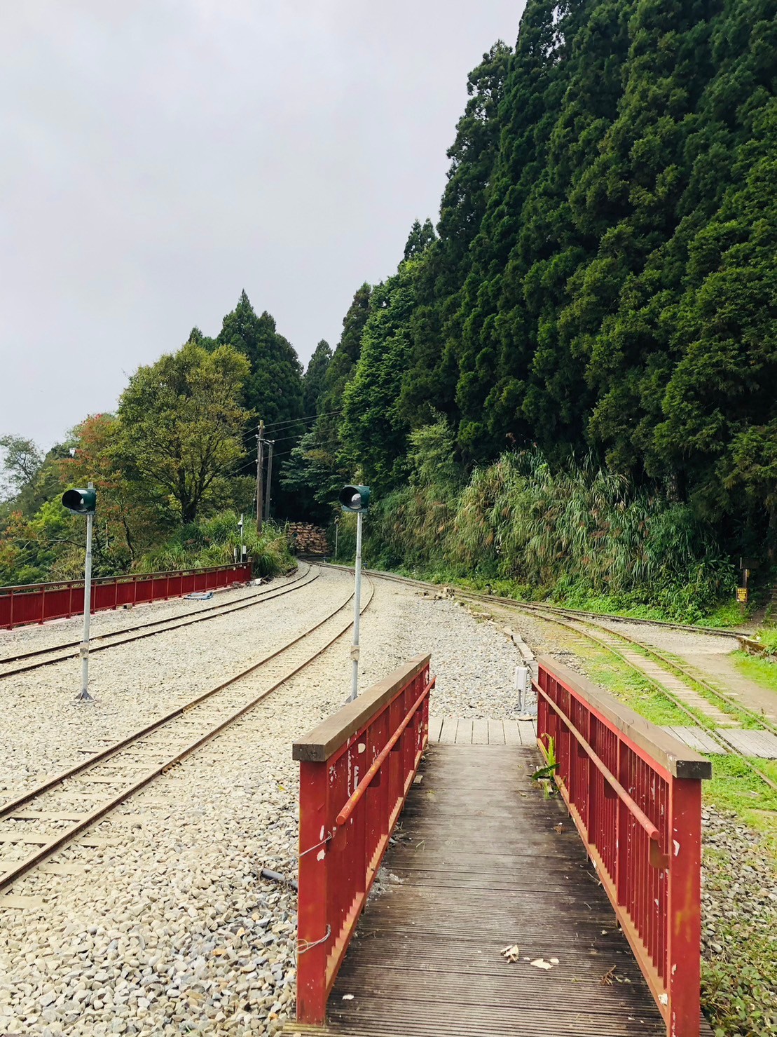 嘉義,阿里山林鐵,二萬平車站,木造火車站,火車站,鐵道文化,山海戀單車