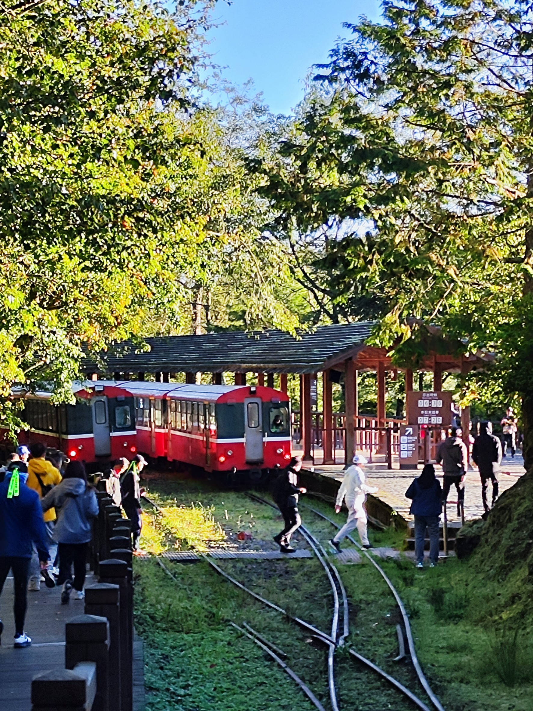 嘉義,阿里山林鐵,對高岳車站,木造火車站,鐵道文化,山海戀單車