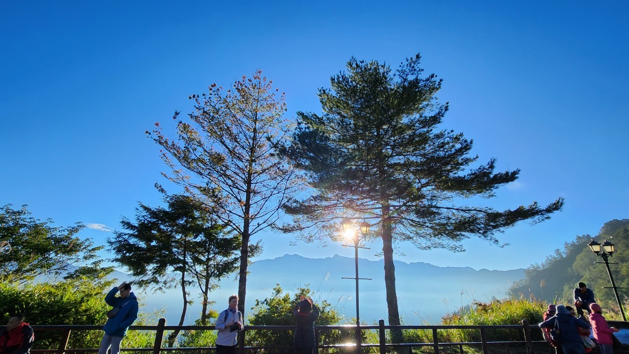 嘉義,阿里山林鐵,木造火車站,對高岳車站,鐵道文化,山海戀單車
