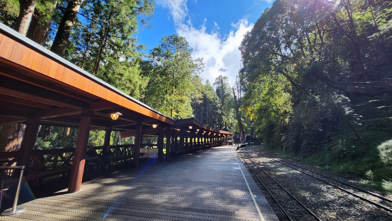 嘉義,阿里山林鐵,沼平車站,木造火車站,山海戀單車,檜木車廂,鐵道文化