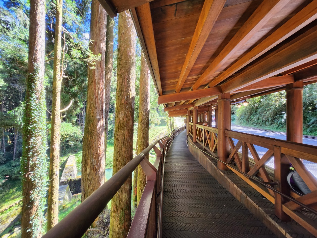 嘉義,阿里山林鐵,木造火車站,沼平車站,鐵道文化,山
