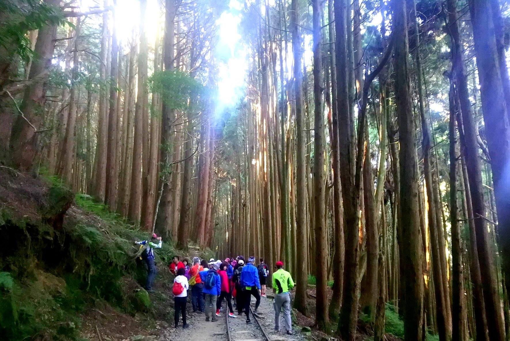 嘉義,阿里山,特富野古道,鄒族,原住民,山海戀單車