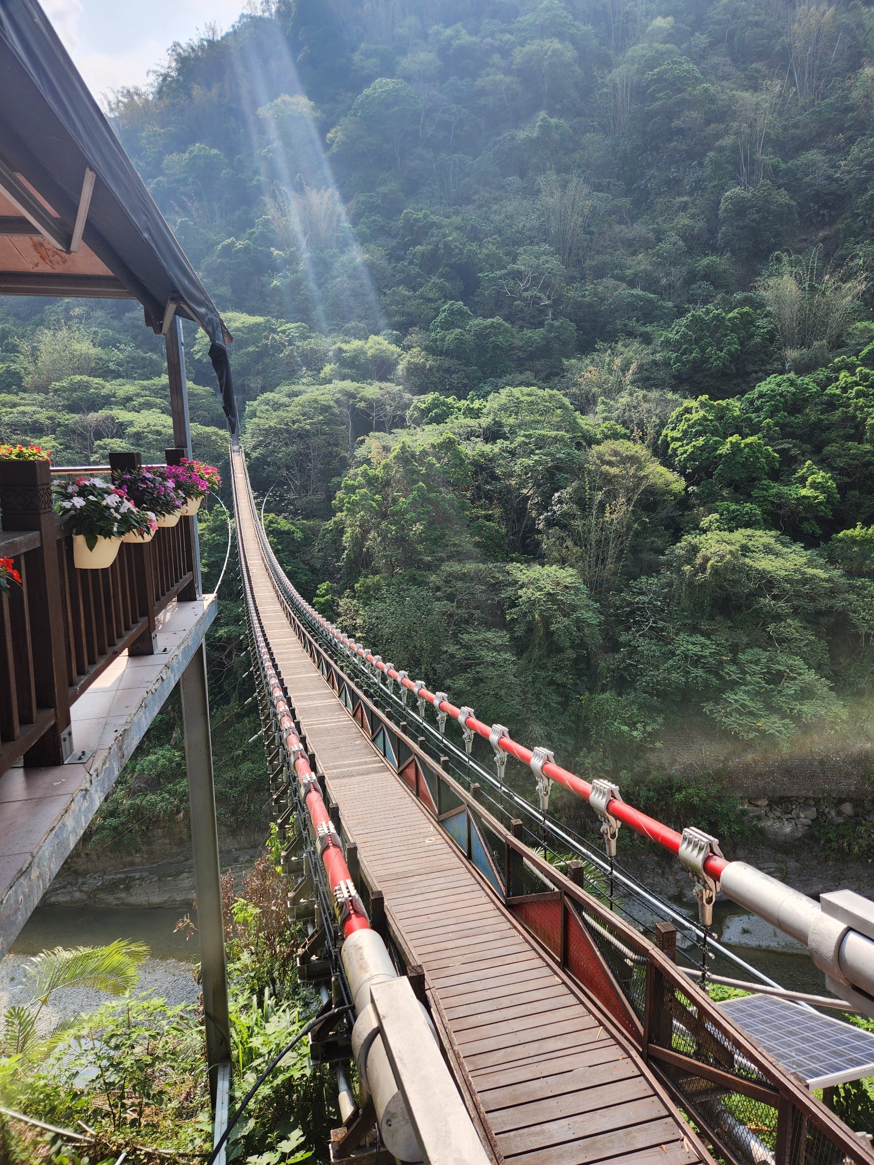 嘉義,阿里山,福美吊橋,鄒族,原住民,橋樑,山海戀單車