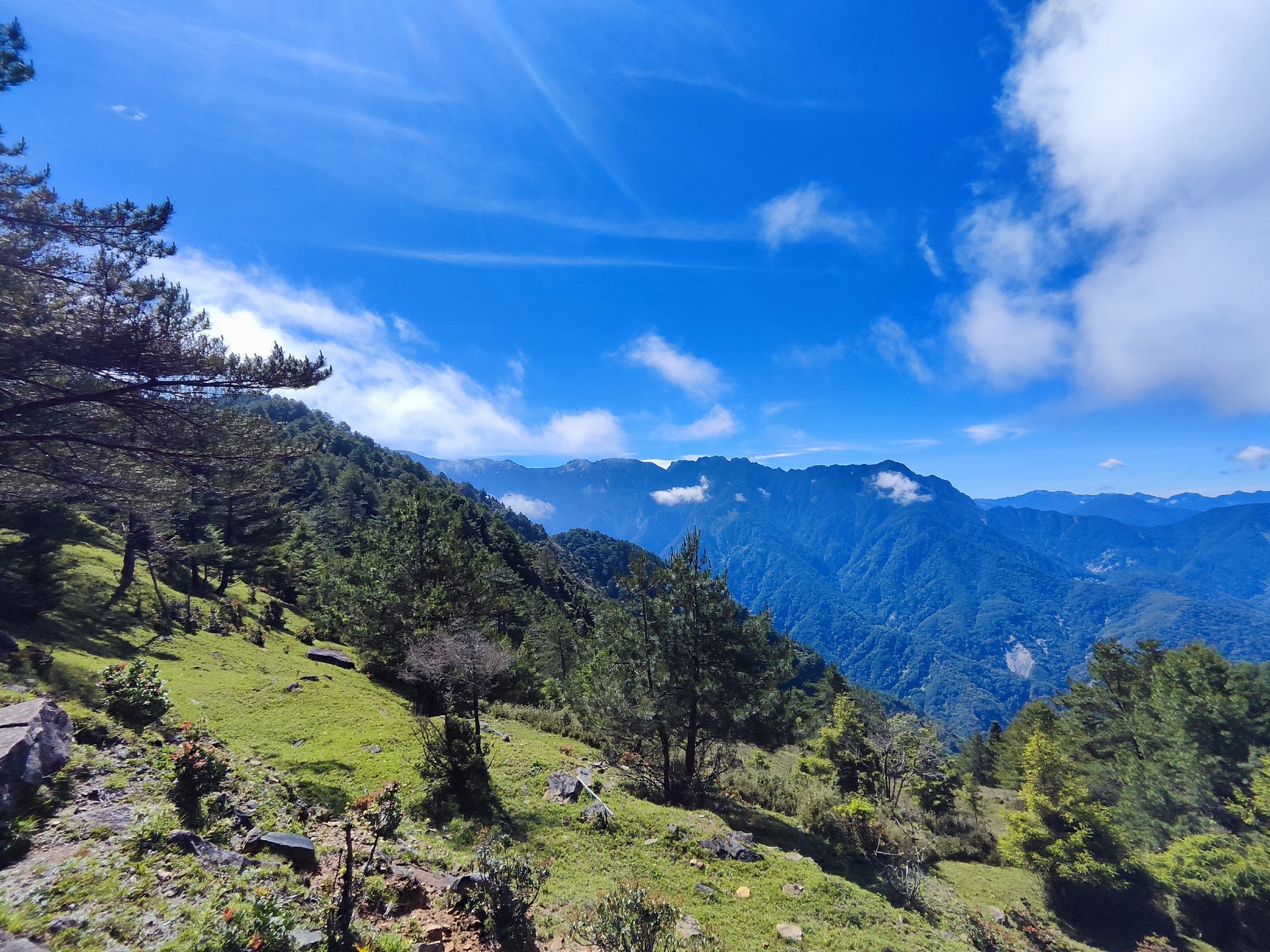 南投,信義鄉,麟趾山,麟趾山步道,玉山國家公園,山海戀單車
