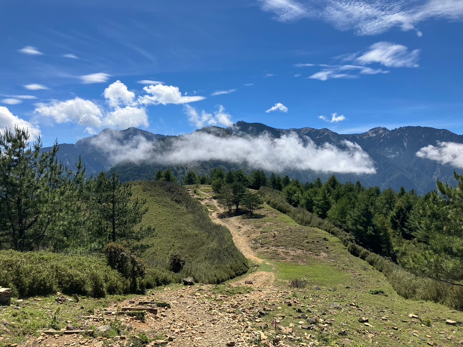 台南,中西區,兌悅門,古城門,咾咕石,百年建築,歷史建築,山海戀單車