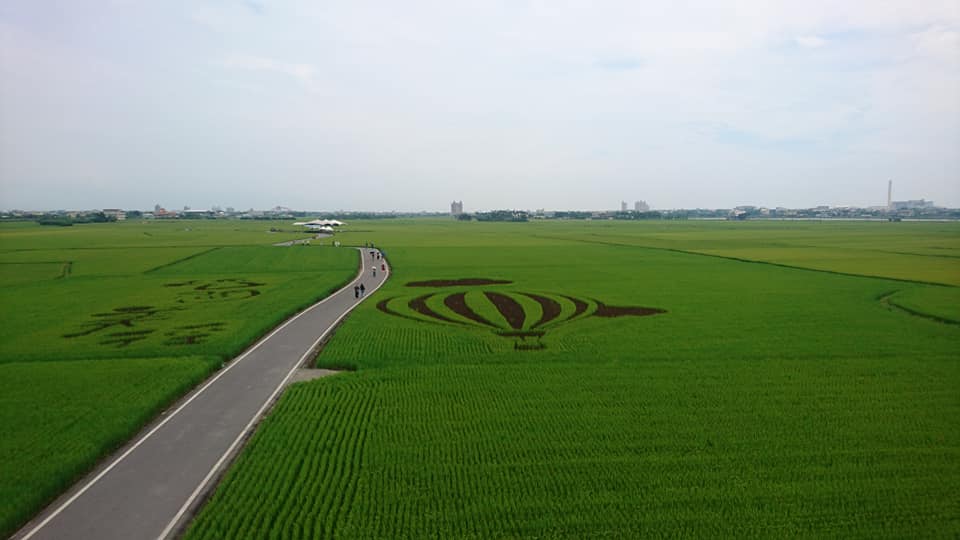 宜蘭,冬山,三奇美徑,伯朗大道,山海戀單車