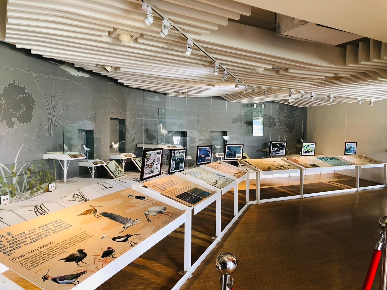 屏東,恆春,龍鑾潭自然中心,溼地,恆春半島,墾丁國家公園,山海戀單車