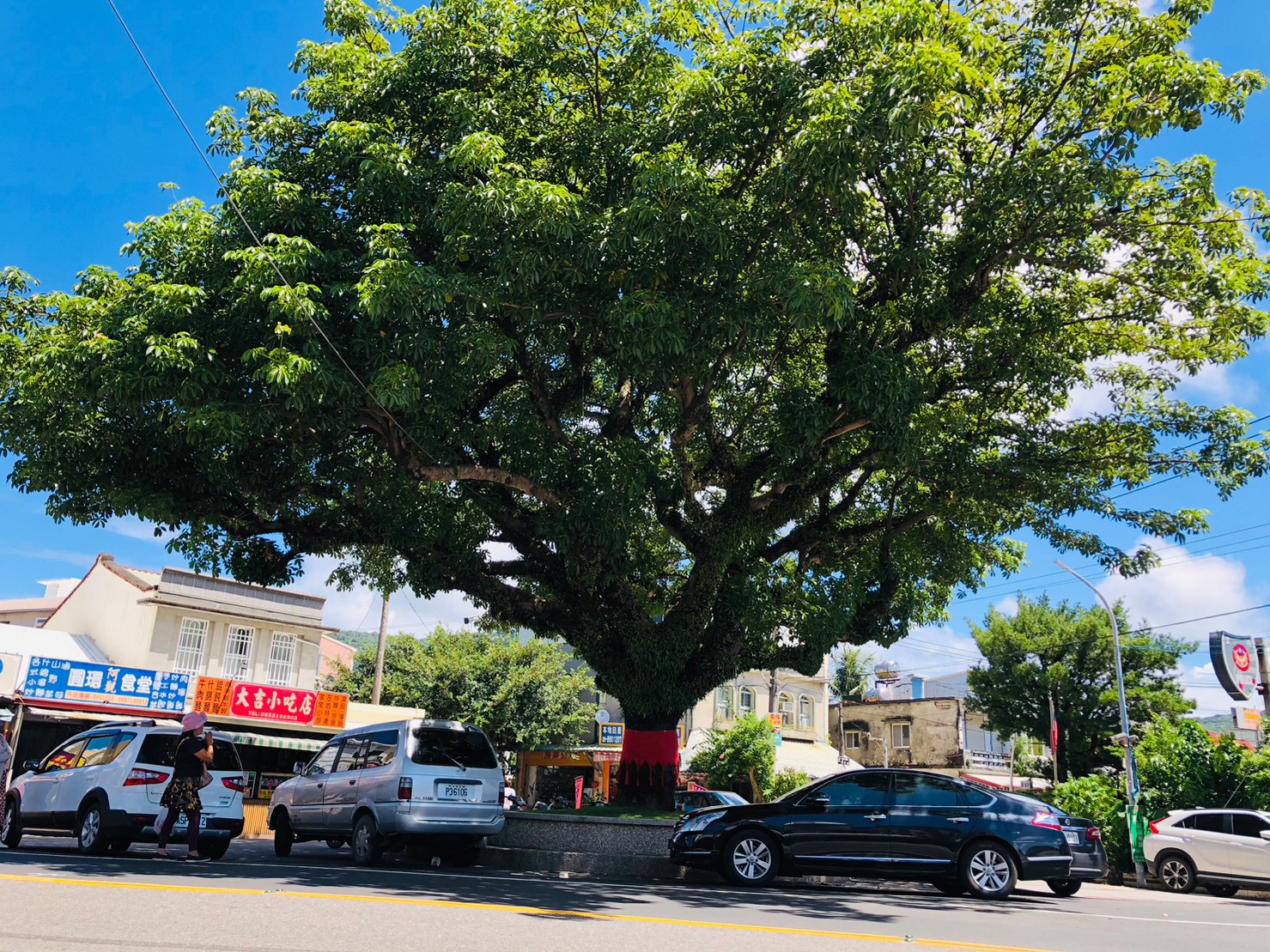 屏東,滿州,掌葉蘋婆老樹,馬修連恩,山海戀單車