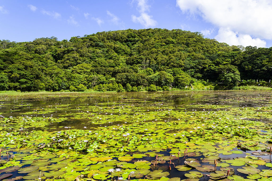 屏東,牡丹,東源溼地,水上草原,溼地,山海戀單車