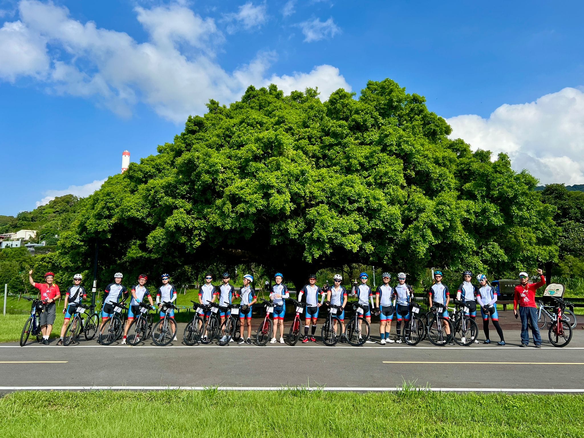新北,樹林,金城武樹,沐心池,山海戀單車