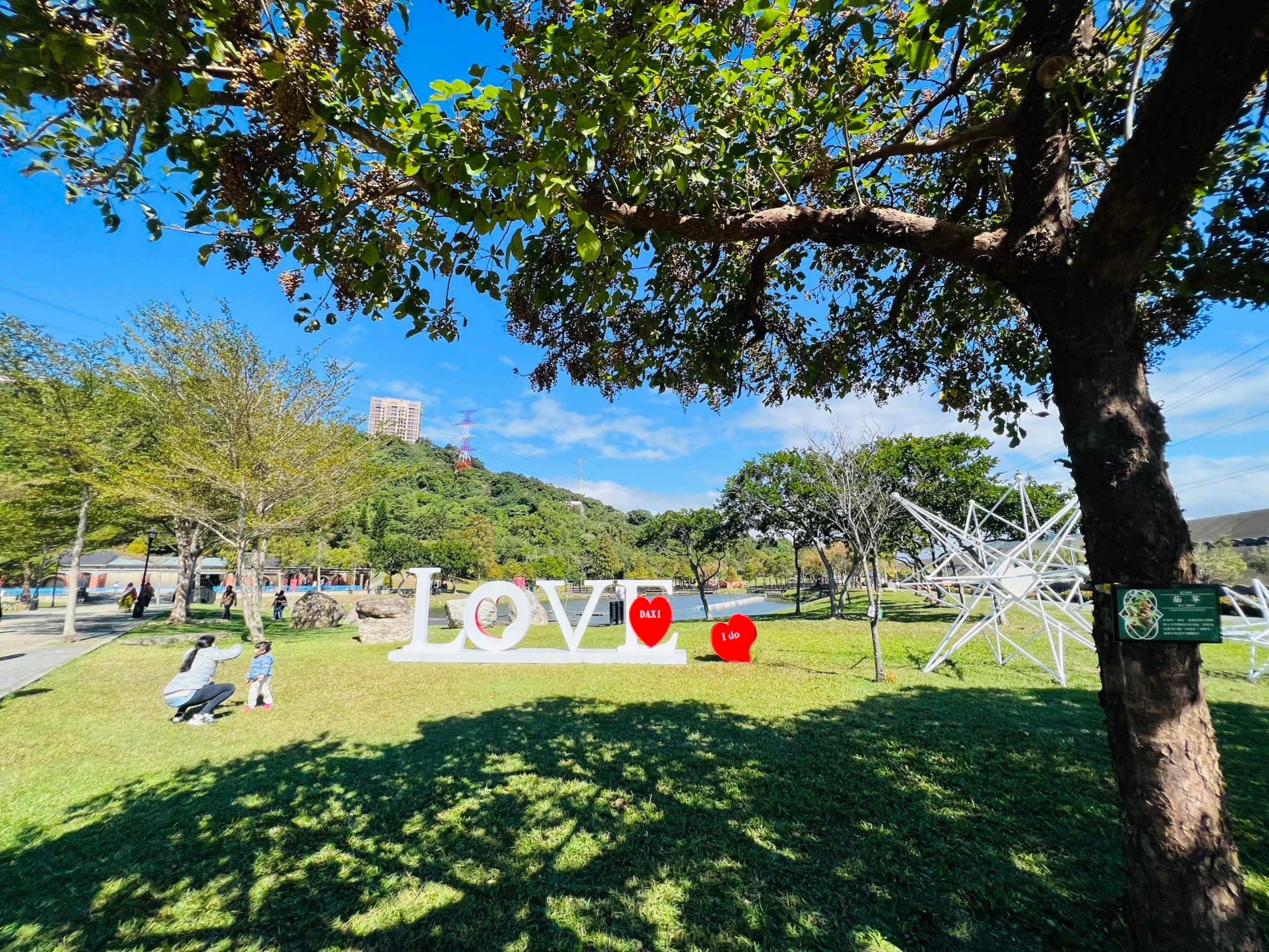 桃園,大溪,大溪河濱公園,落羽松,love,山海戀單車