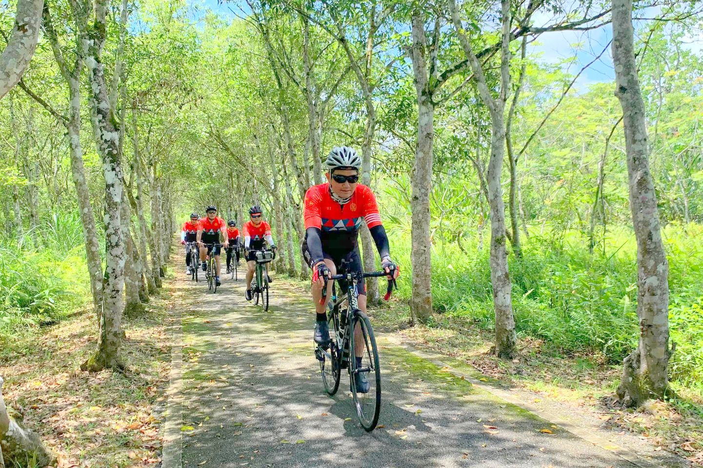 花蓮,光復鄉,大農大富平地森林園區,山海戀單車