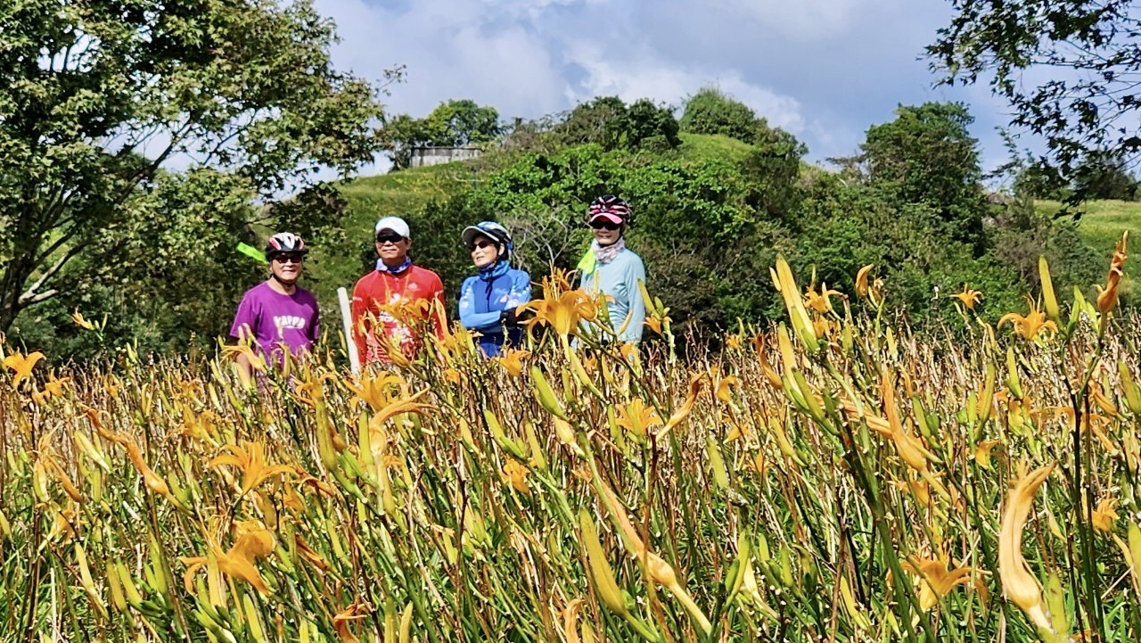 花蓮,富里,六十石山,金針花,山海戀單車