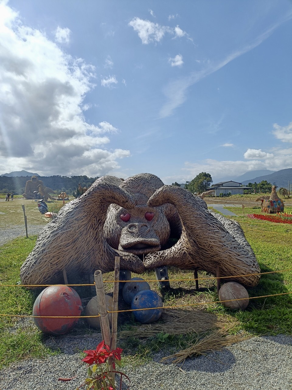 花蓮,富里,富里花海景觀區,藝術,LOVE,花東縱谷,稻草藝術季,山海戀單車