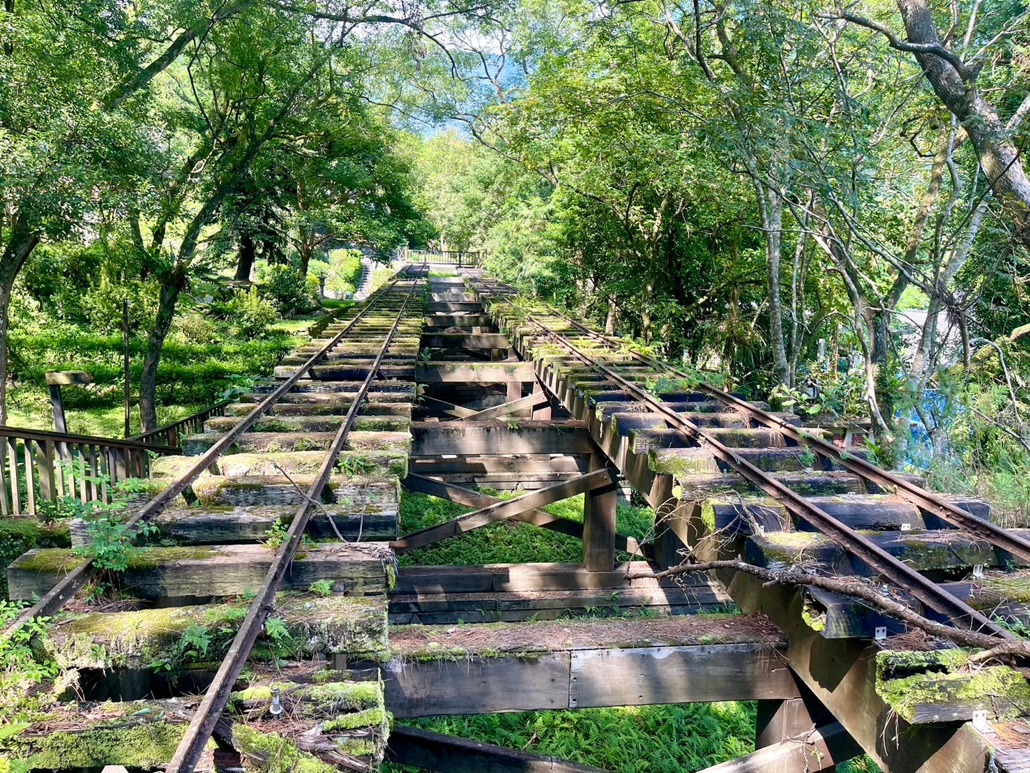 花蓮,鳳林,林田山林業文化園區,花東縱谷,林場,山海戀單車