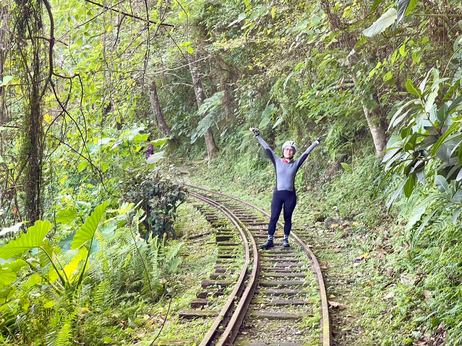 花蓮,鳳林,林田山林業文化園區,花東縱谷,林場,山海戀單車