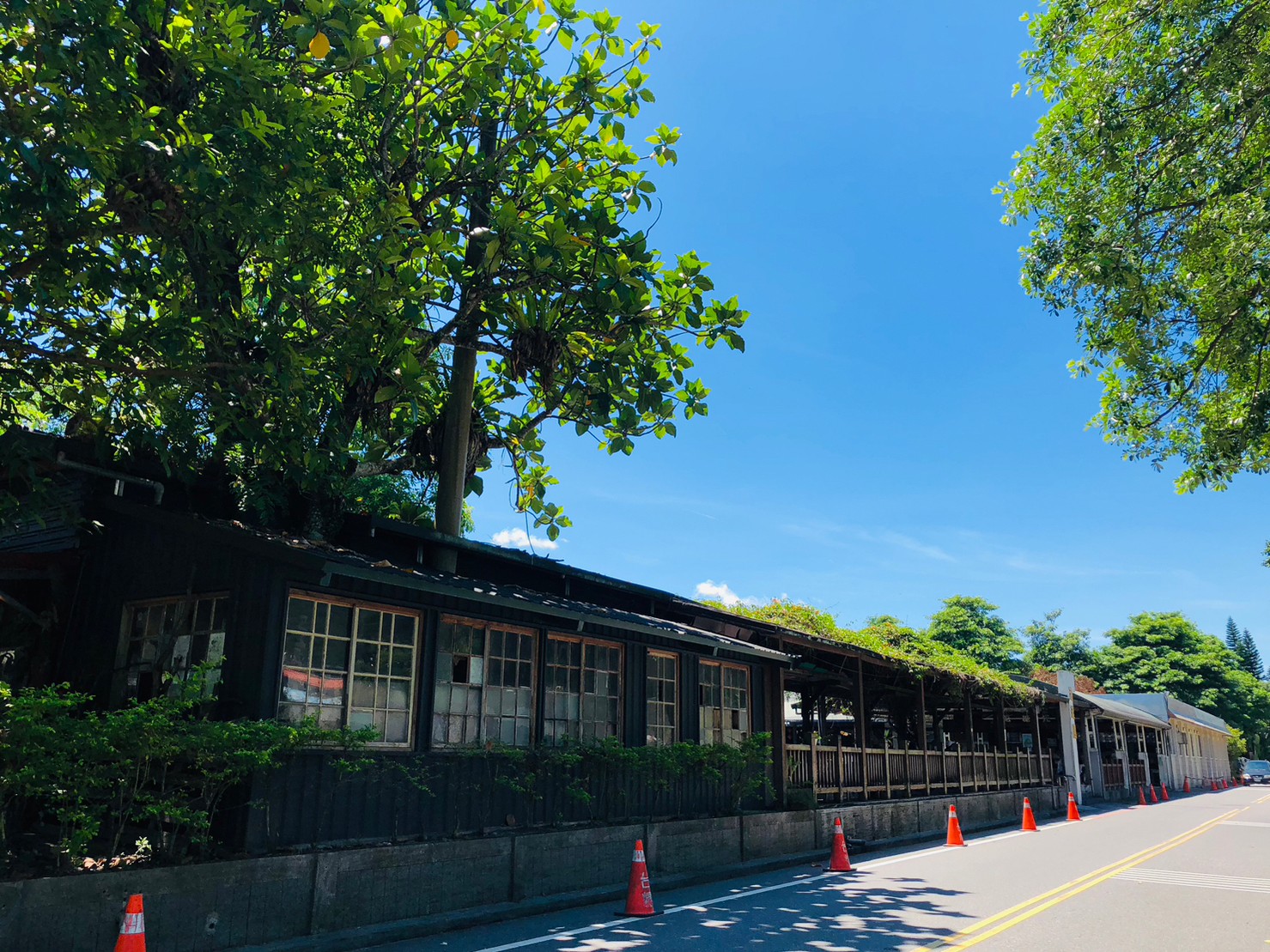 花蓮,光復鄉,光復糖廠,山海戀單車