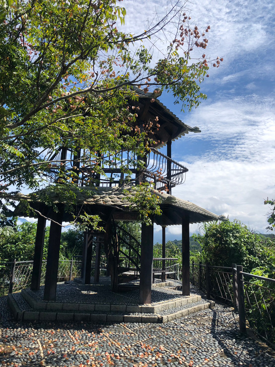 苗栗,三義,鯉魚潭水庫,水庫,山海戀單車