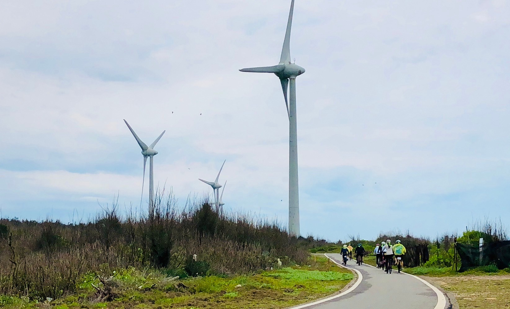 苗栗,後龍,海角樂園,溼地,風力車,山海戀單車