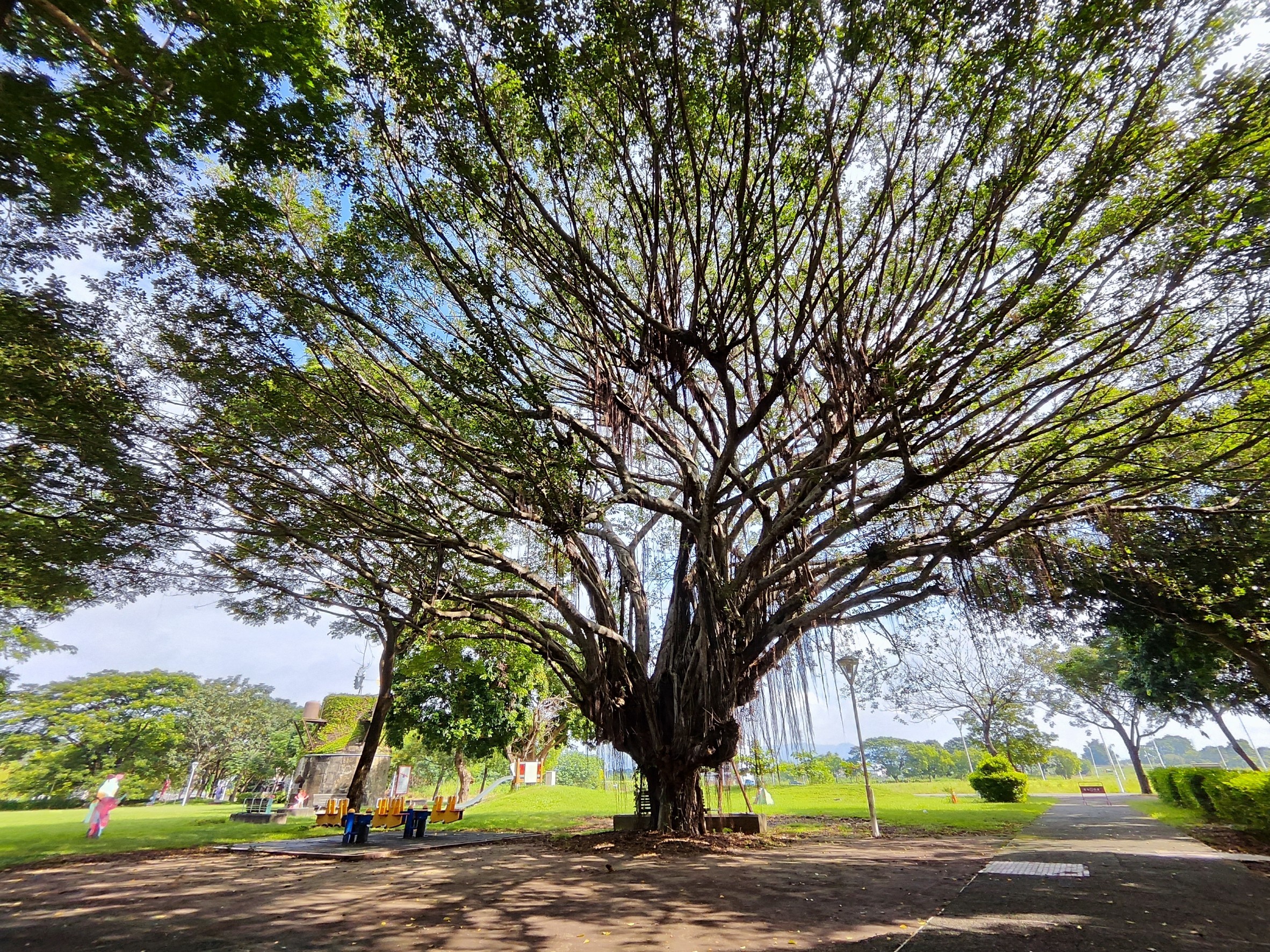 雲林,林內,林內驛站,百年建築,山海戀單車