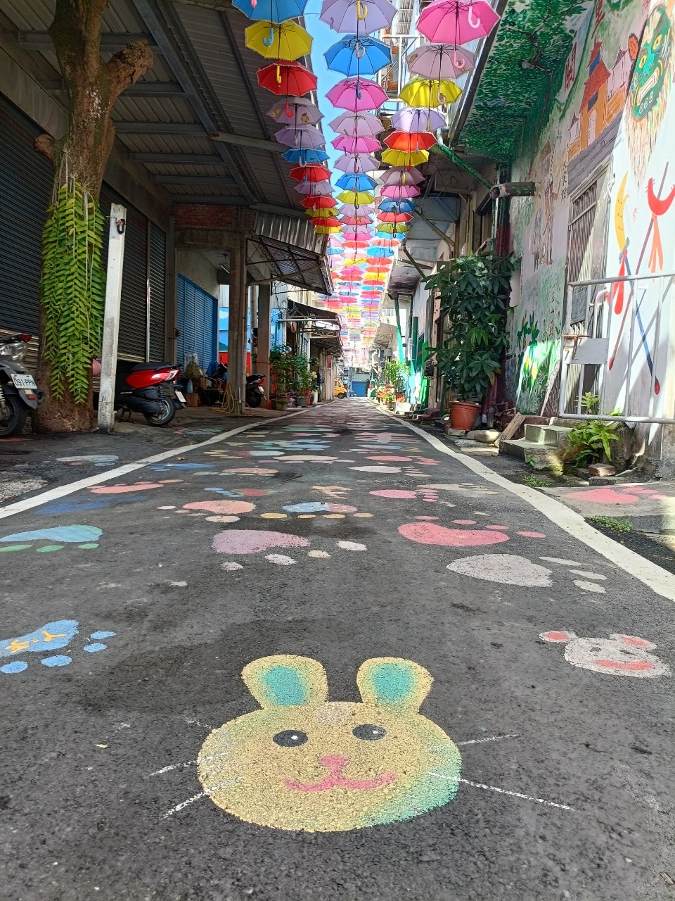 高雄,甲仙,貓巷彩繪村,山海戀單車